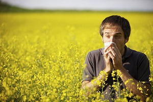 allergens Combat Seasonal Allergies
